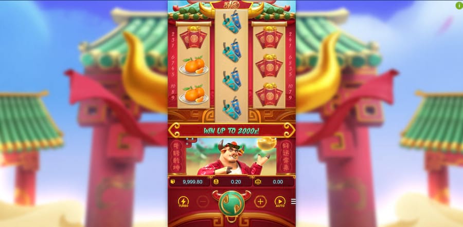 lucky clovers